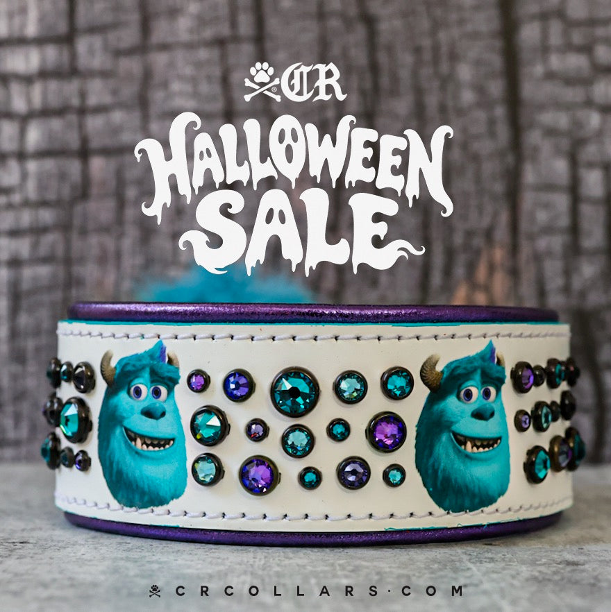 Monsters Inc Embrz Collar, 16" - 18"