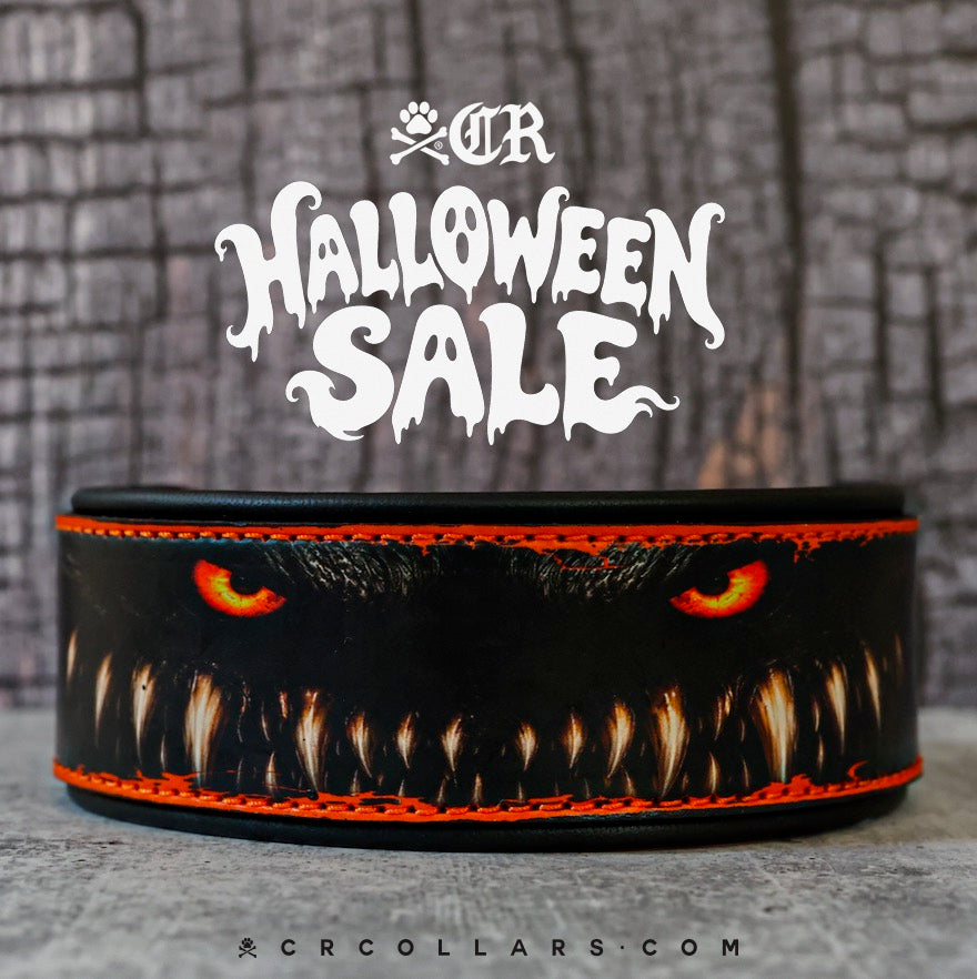 Critters Kustom Collar, 18" - 20"