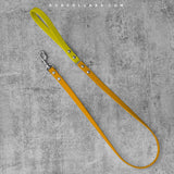 Kyon Two-Tone Leash