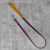 Kyon Two-Tone Leash