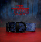 Upside Down Splatter Kyon Collar + Leash