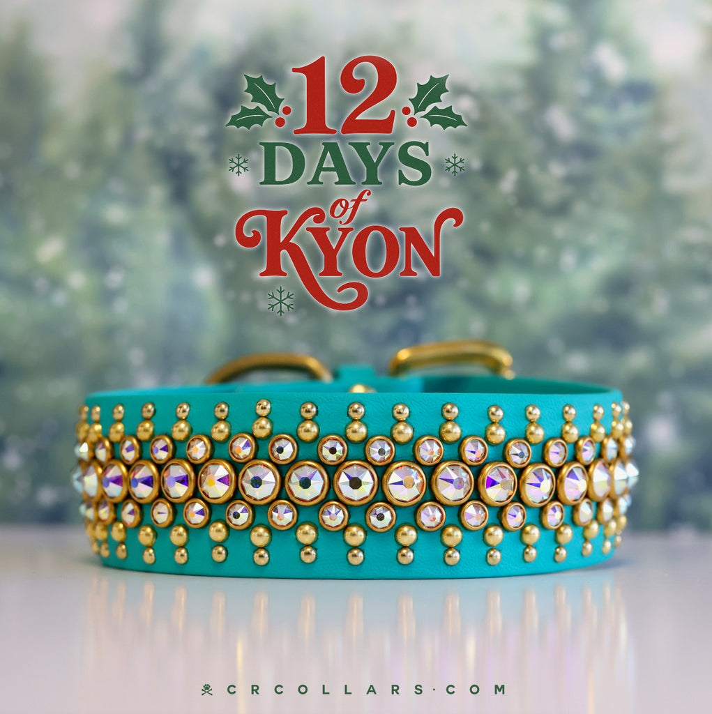 DAY 11  |  12.19 Kyon Aberdeen Collar