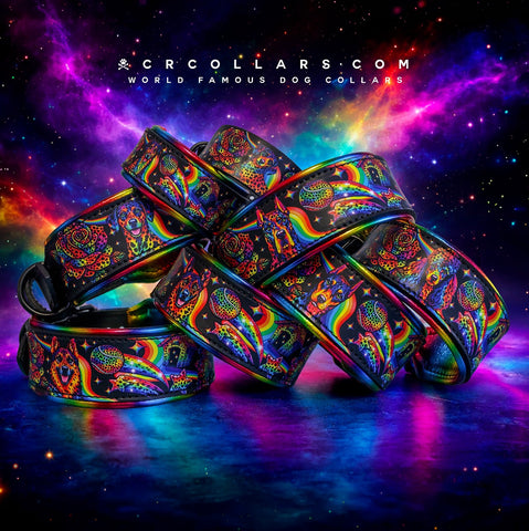 Neon 90s Dog Breed Kustom Collar