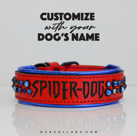 Peter Barker Embrz Kustom Collar