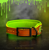 Brain Freeze Embrz Collar