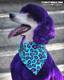 Wild Leopard Bandana (Nylon Collar Not Included)