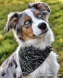 Wicked Web Silver Bandana (Nylon Collar Not Included)