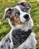 Wicked Web Silver Bandana (Nylon Collar Not Included)