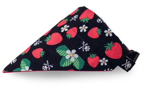 Strawberry Fields Bandana (Nylon Collar Not Included)