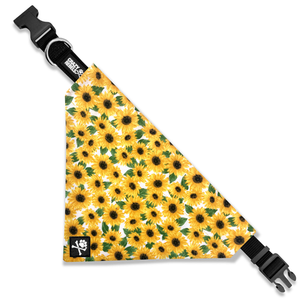 Sunflower Bandana (Nylon Collar Not Included) - L