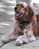 Wicked Web Silver Bandana (Nylon Collar Not Included)