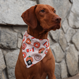 Pumpkin Spice Bandana (Nylon Collar Not Included)