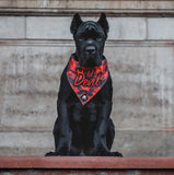 Lil' Devil Bandana (Nylon Collar Not Included)