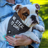 Mr. Steal Yo Girl Bandana (Nylon Collar Not Included)