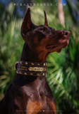 Sinatra Collar