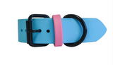 Kyon Two-Tone Collar