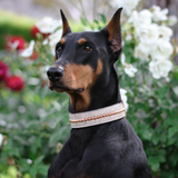 Rosé Collar