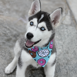 Donut Bandana (Nylon Collar Not Included) - S