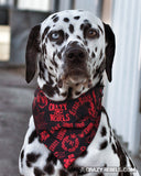 Graffiti Bandana (Nylon Collar Not Included)