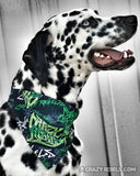 Street Bandana (Nylon Collar Not Included) - XS