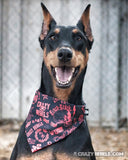 Graffiti Bandana (Nylon Collar Not Included)