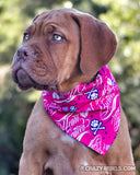 Heartbreaker Bandana (Nylon Collar Not Included) - XS