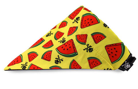 Juicy Bandana (Nylon Collar Not Included)