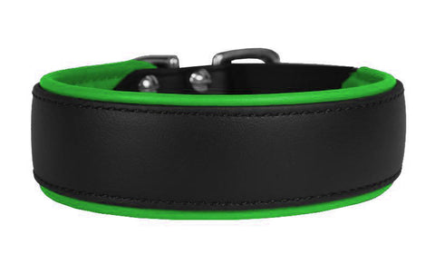 Kyon Padded Collar