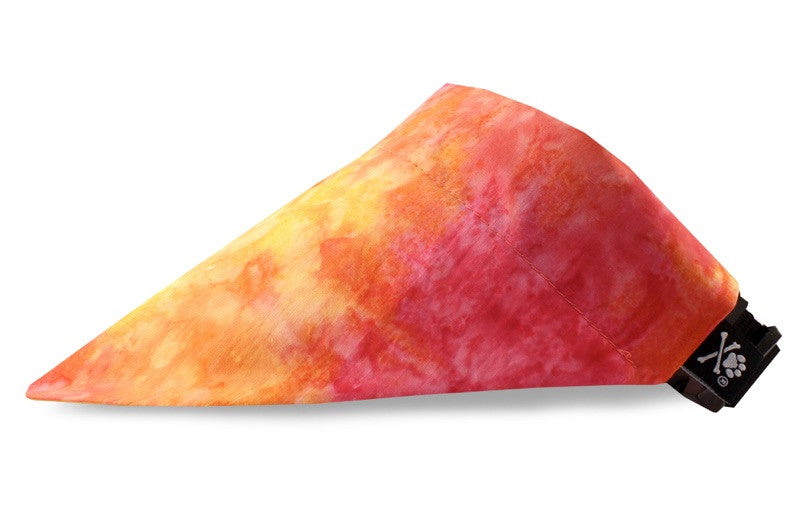 Sherbet Bandana (Nylon Collar Not Included)