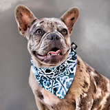 Surfs Up Bandana (Nylon Collar Not Included)