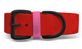 Kyon Two-Tone Collar