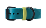 Kyon Two-Tone Collar
