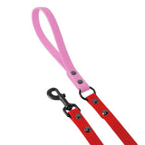 Kyon Two-Tone Leash
