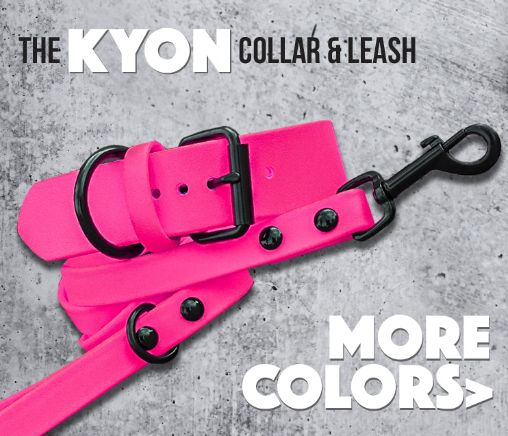 KYON COLLARS